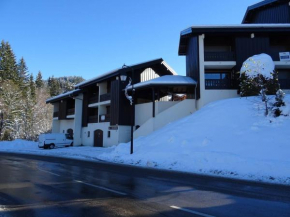 Les Gets : Duplex 3 Pièces - 6 Pers - Proche Pistes Turche - Navette Gratuite - Garage Inclus - FR-1-802-59 Les Gets